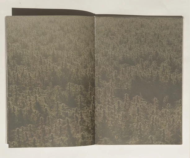 Henrik Purienne & Jean Pierrot - Wandering and Learning